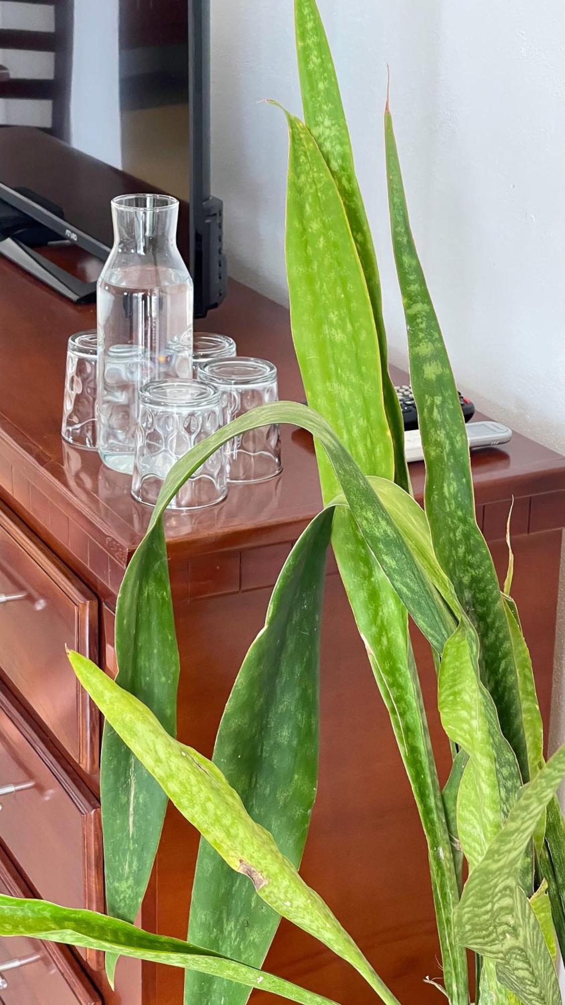 Quinta Alberto Boutique Hotel San Blas Pokój zdjęcie