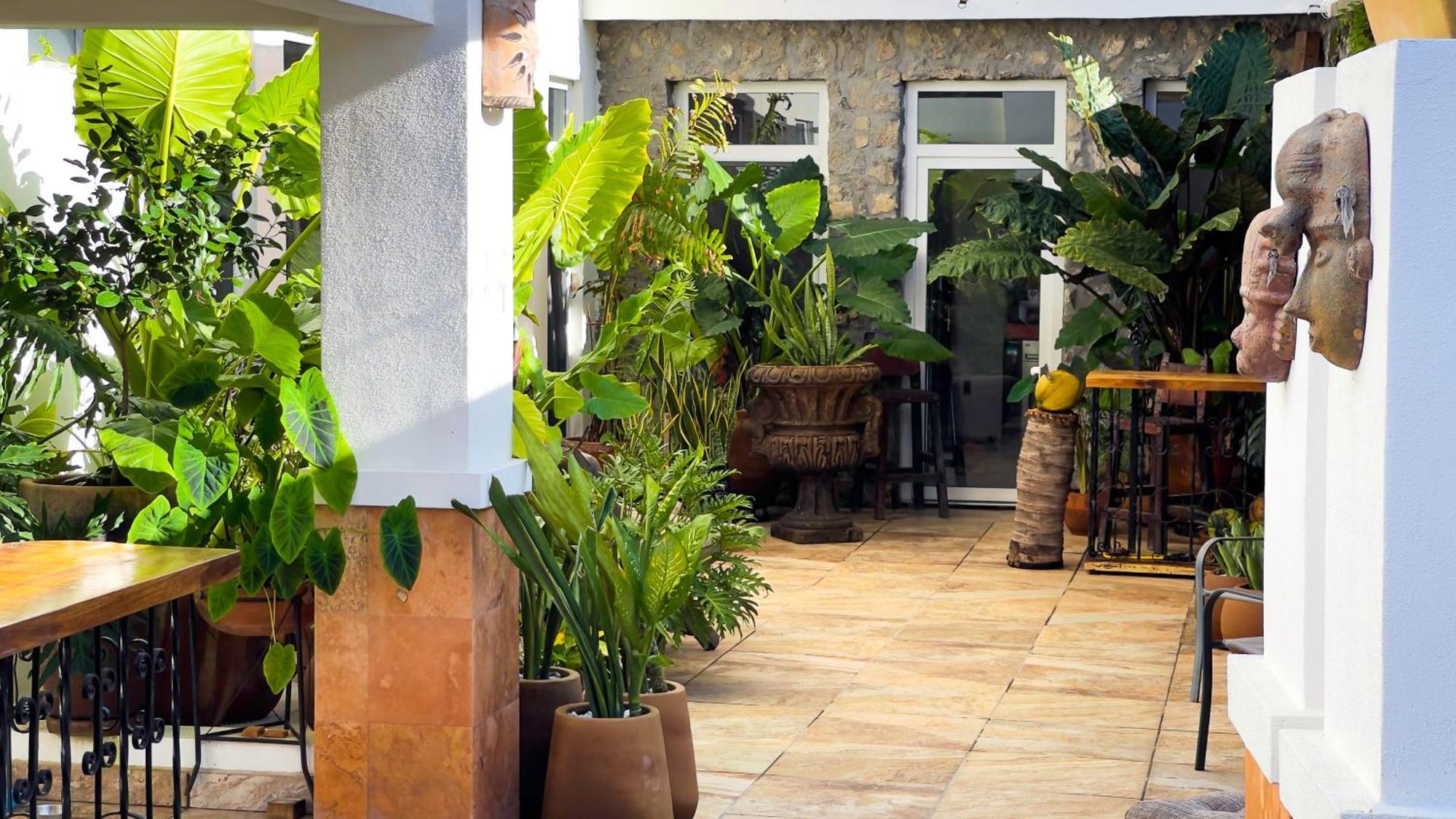 Quinta Alberto Boutique Hotel San Blas Zewnętrze zdjęcie